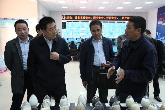 寧夏寧東能源化工基地管委會(huì )來(lái)上虞基地考察.JPG